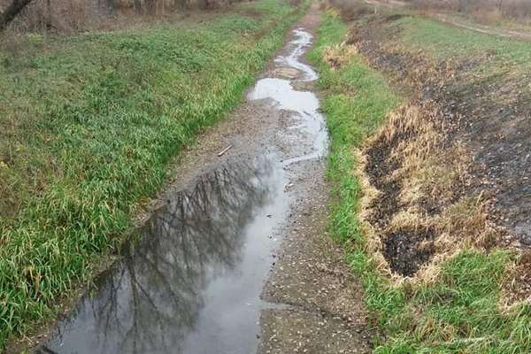 Остер, річка, болото