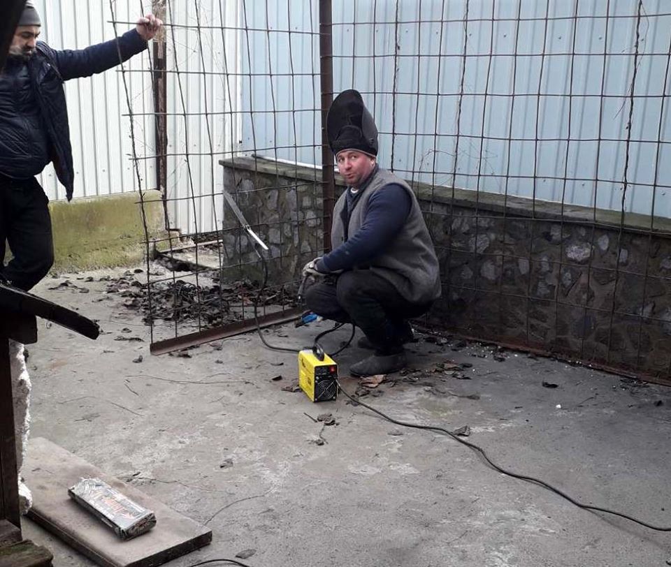 собака, історія, порятунок