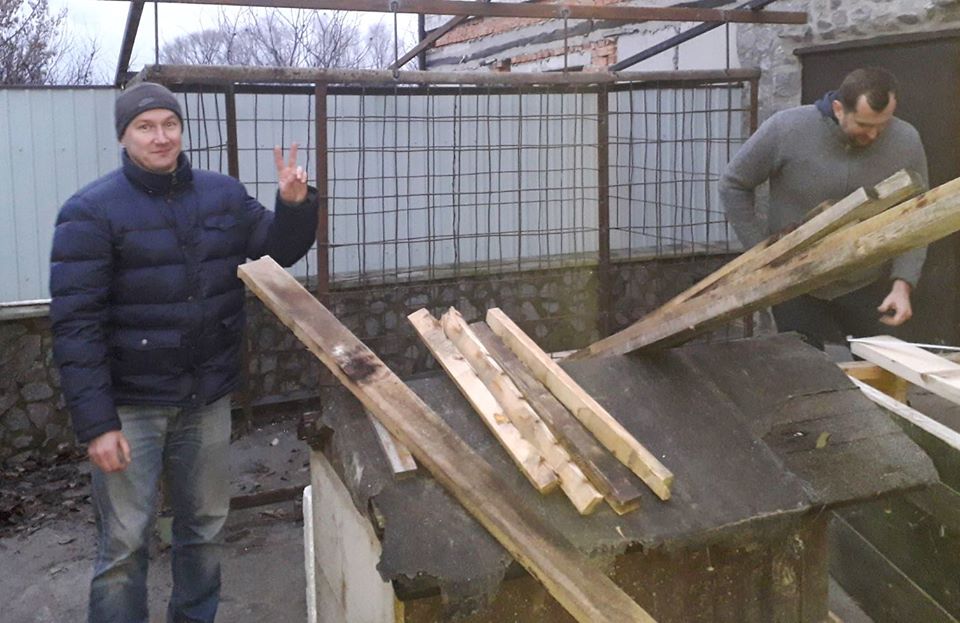собака, історія, порятунок
