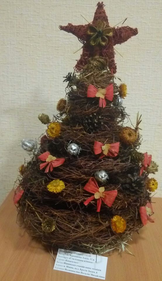 Ніжинська СЮТ, виставка, роботи