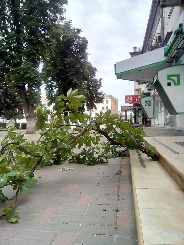 буревій, Ніжин