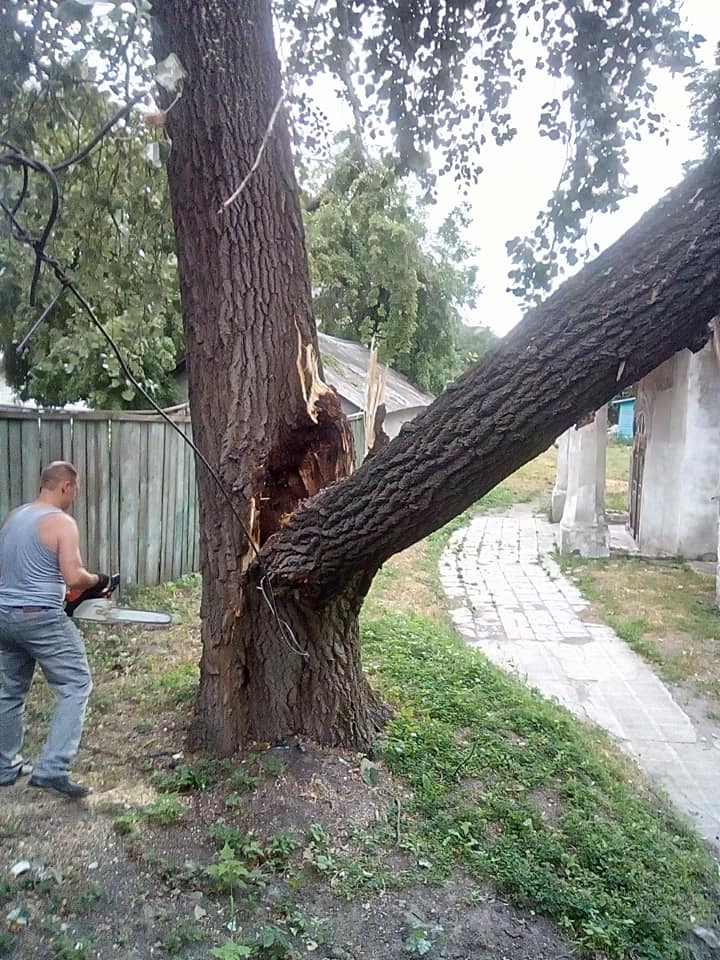 буревій, Ніжин