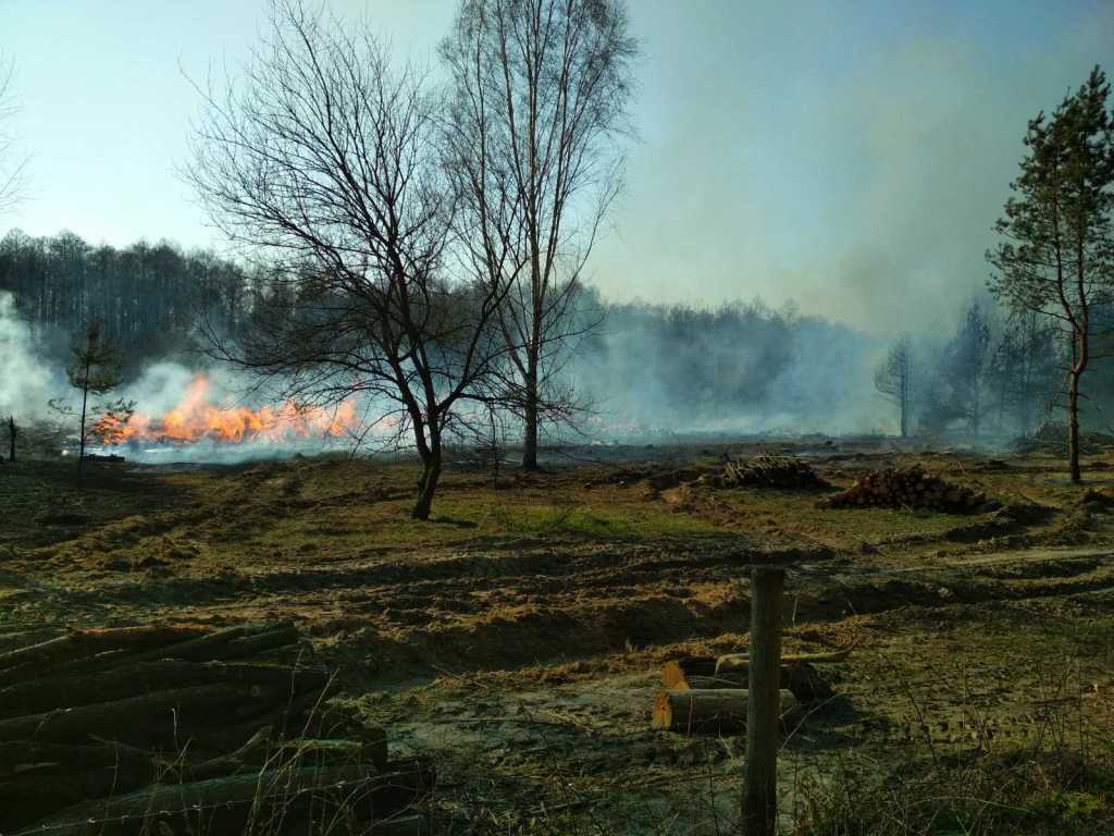 рятувальники, спеціальний авіаційний загін, пожежа