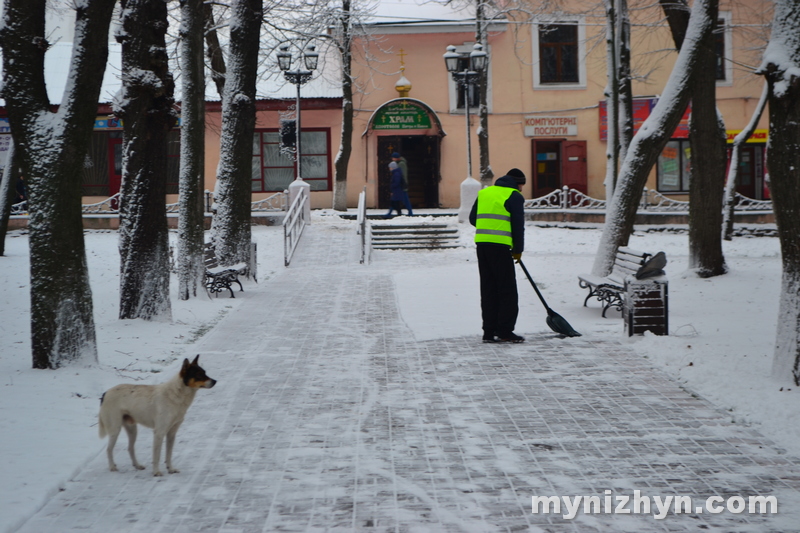 зима, пейзажі, сніг