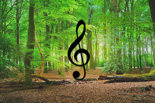 лісівники, конкурс