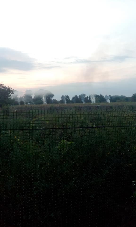 спалювання, шкода, відділ благоустрою, поліція