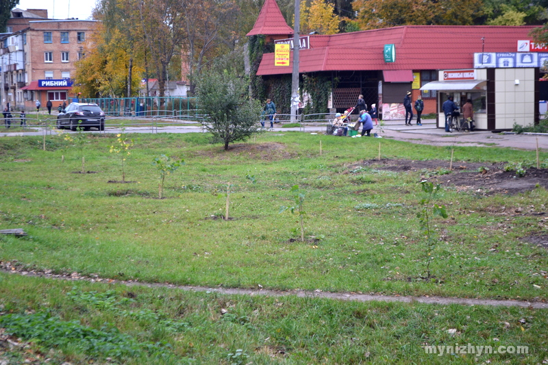 дерева, висадка