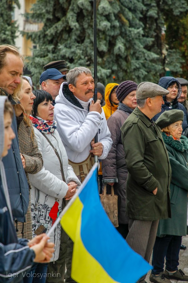 віче, протест, формули Штайнмаєра