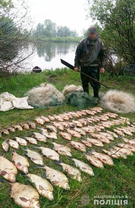 браконьєри, поліція, затримання, Десна