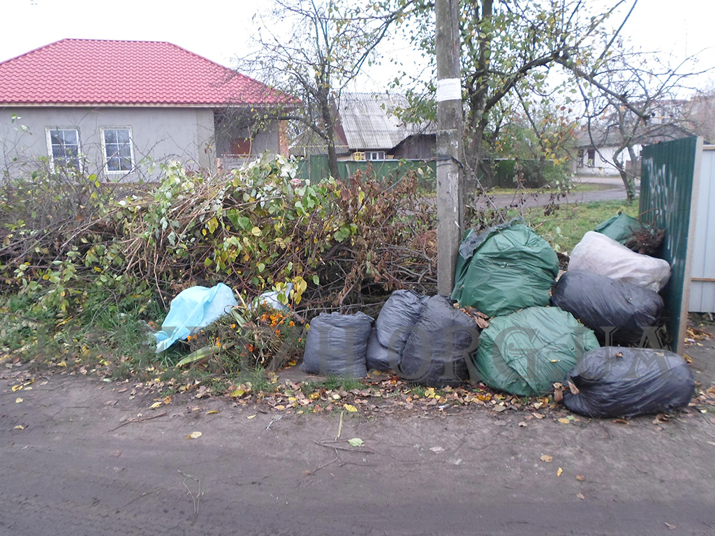 сміття, благоустрій, інспекція, рейди