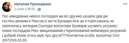 пес, електричка, подорож