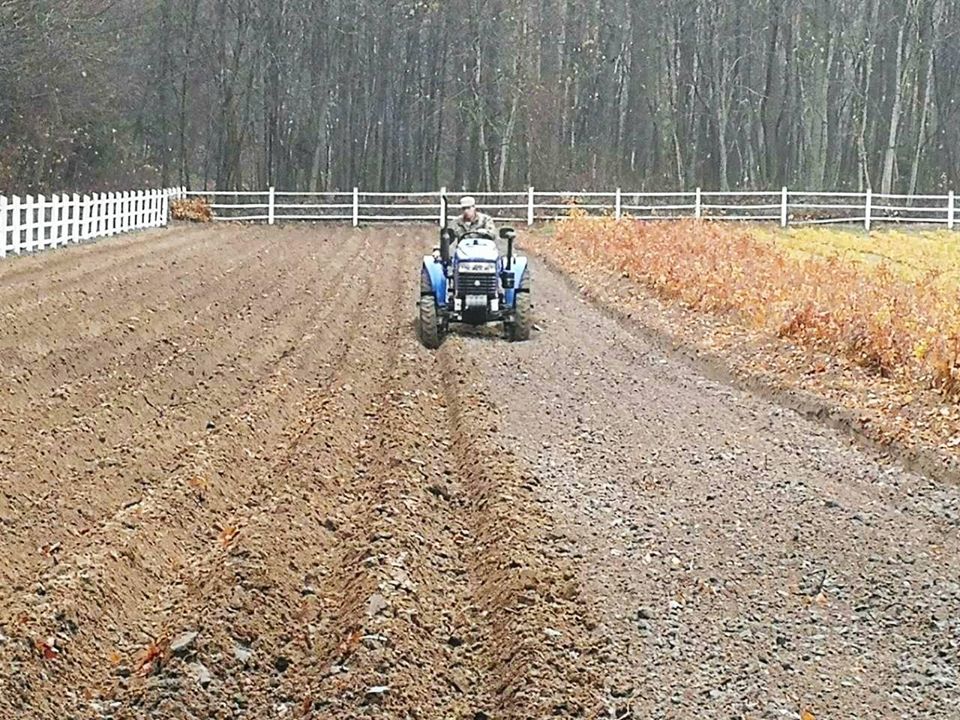 ліс, лісівники, роботи, відновлення