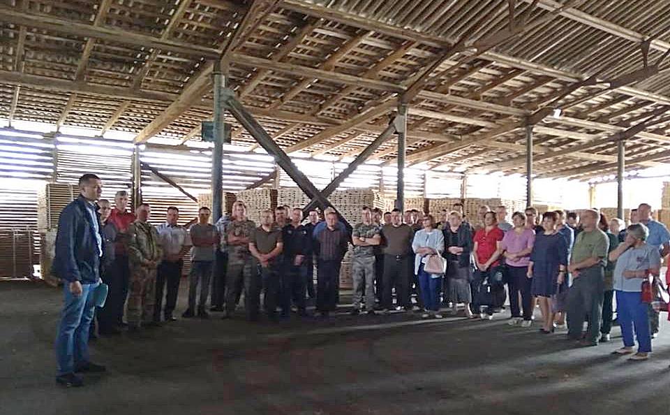 Лісопродукція, дрова, подорожчання