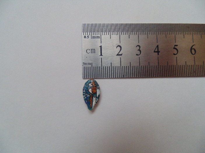 Юлія Петренко, рекорд, Власта Старицька, Кароліна Пархоменко, Анастасія Майорова