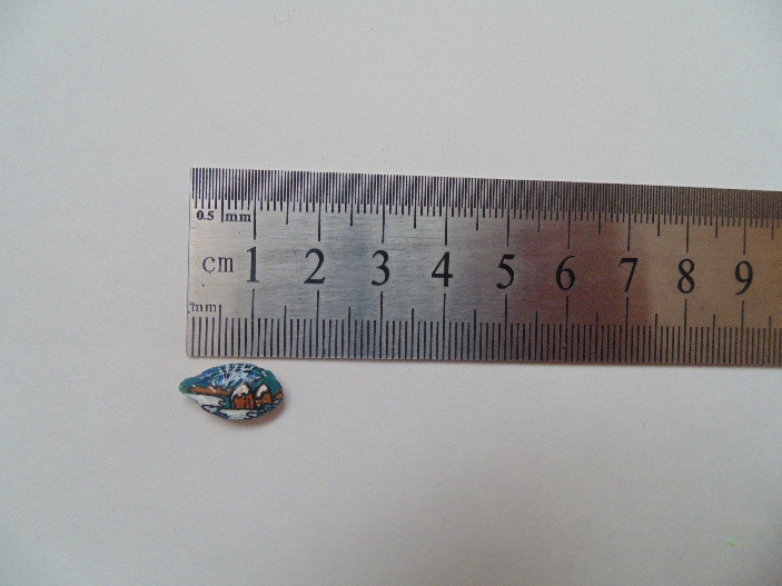 Юлія Петренко, рекорд, Власта Старицька, Кароліна Пархоменко, Анастасія Майорова