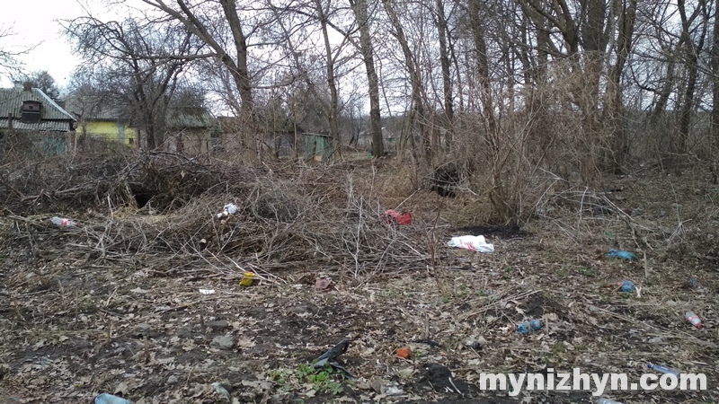 сміття, паління сухої трави