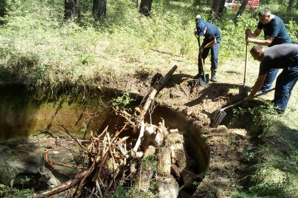 лосеня, рятувальники, пастка