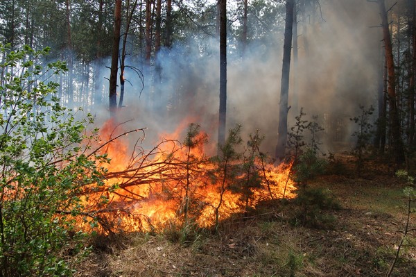 пожежі, Чернігівщина, небезпека