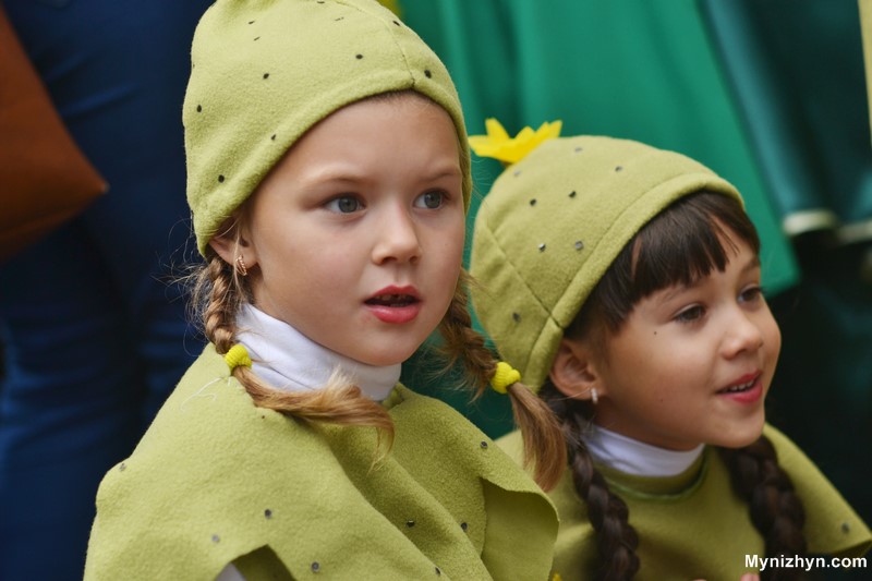 День міста у ніжині, нежин день города, новости нежин день города