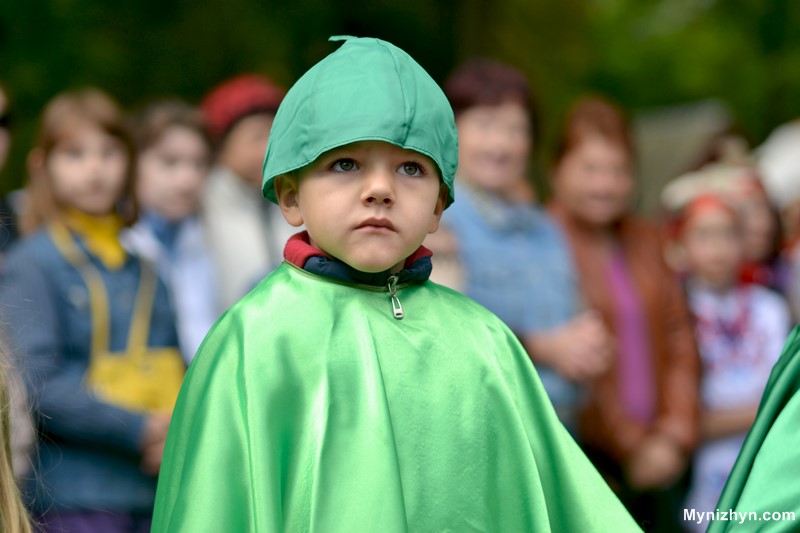 Огурец, праздник огурца в нежин, нежин праздник огурца,