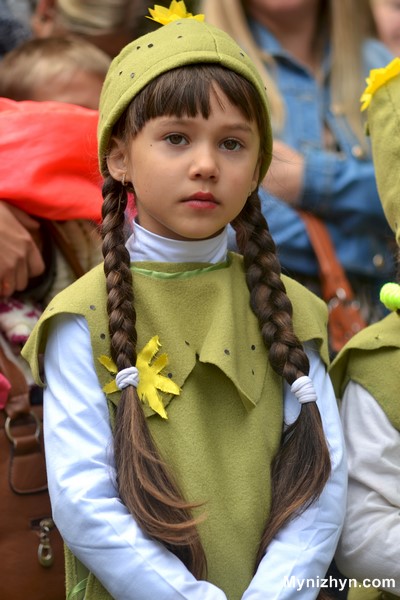 Свято огірків у ніжині, ніжинські огірки свято