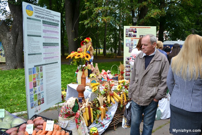 Свято ніжинського огірка ніжин