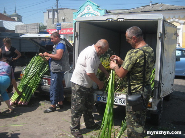 лепеха, бізнес, Ніжин