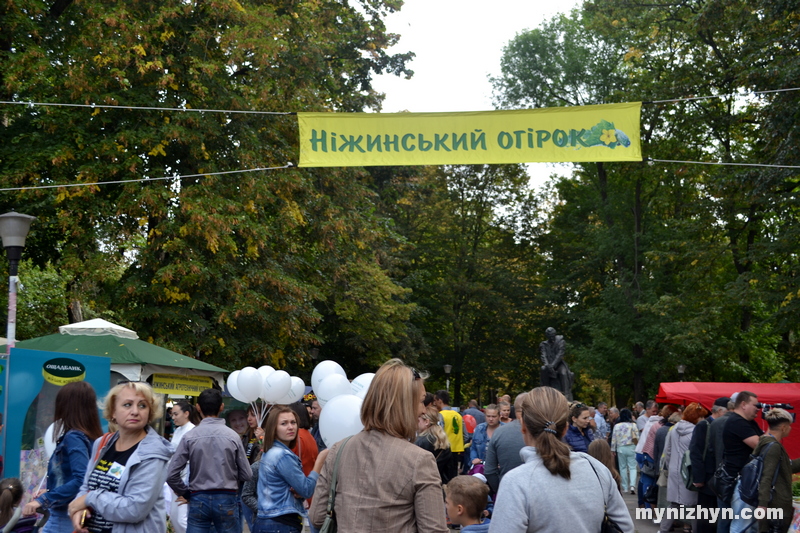 фестиваль, свято, Ніжинський огірок