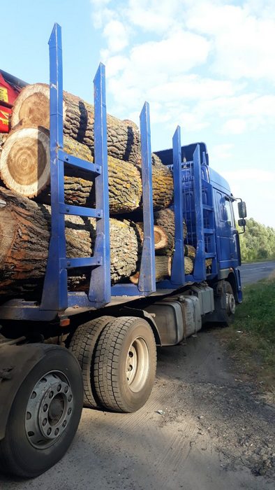 поліція, деревина