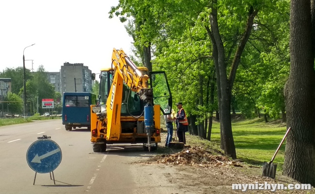 дерева, видалення