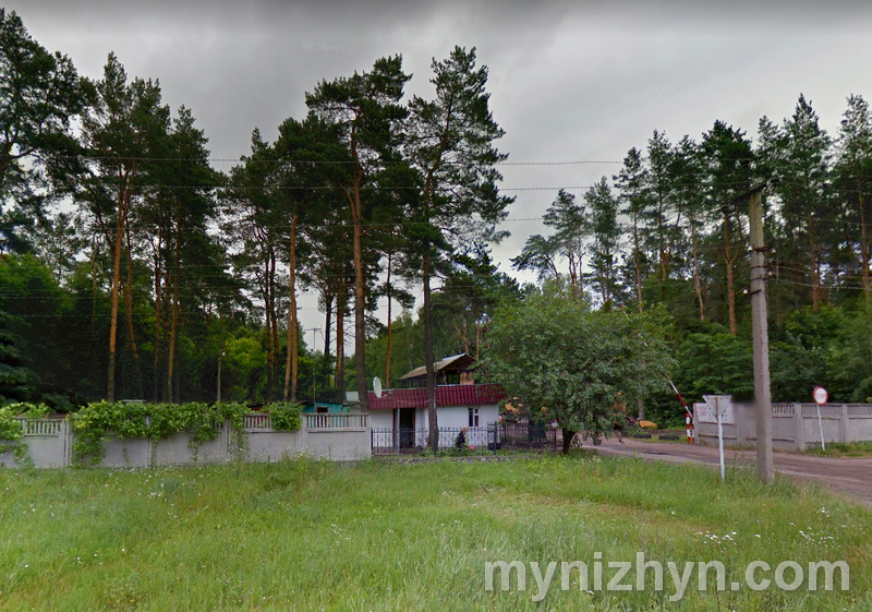 Вирубка, дерева