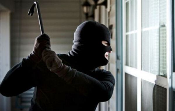 поліція, кримінал, грабіжник, літня жінка