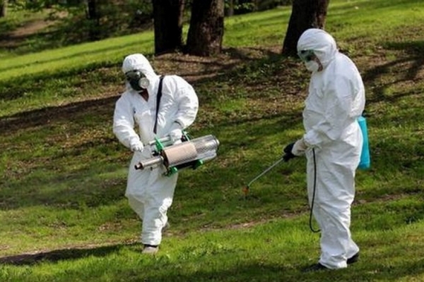 дезинсекція, парки, сквери, кліщі