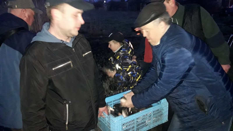 Ніжин-озеро, оновлення, риба, аналіз води