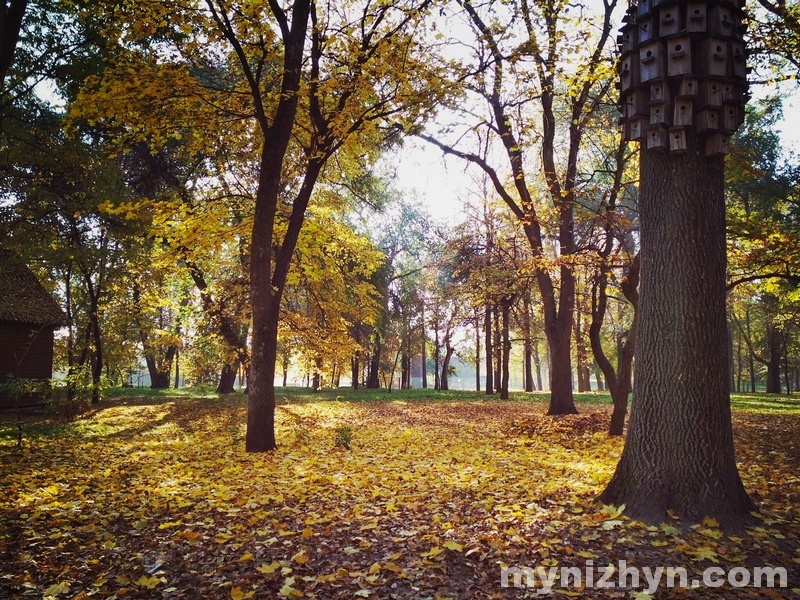 осінь, Ніжин, фото