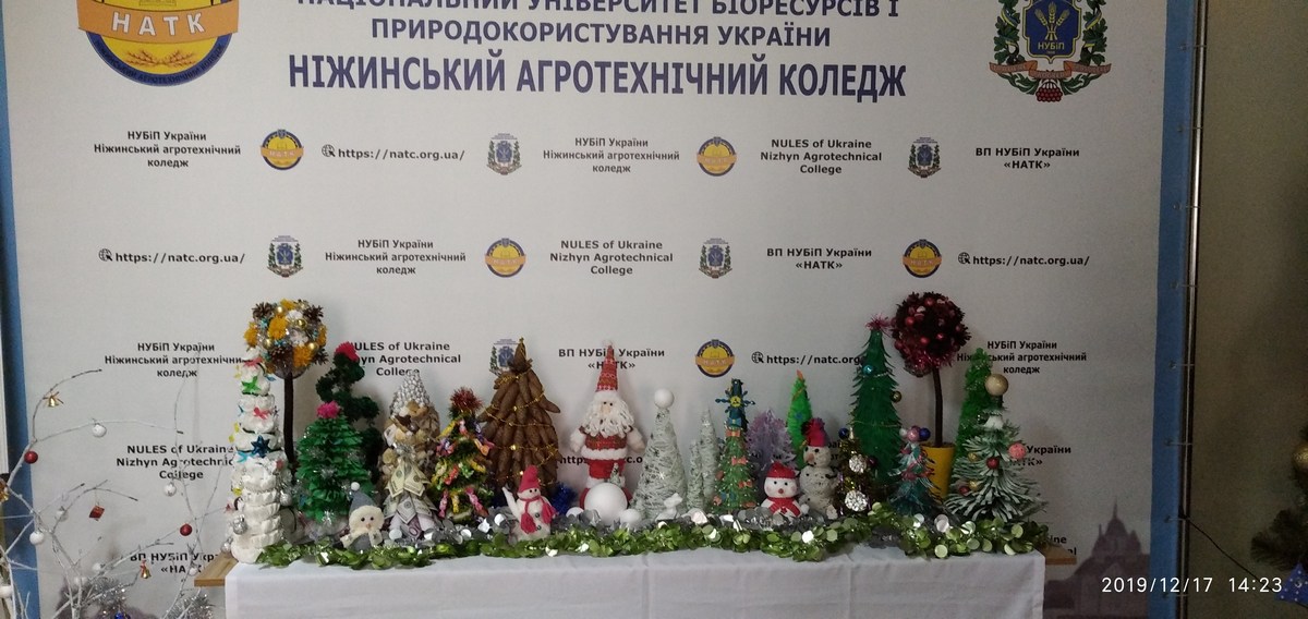 екологічна акція, студенти, ялинка