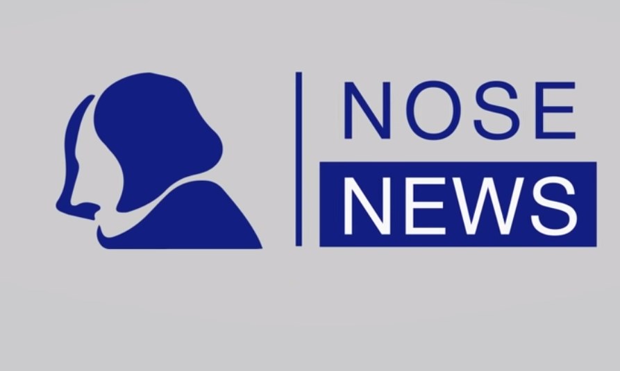 Nose News, НДУ