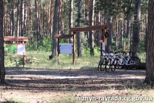 директор, регіональний ландшафтний парк