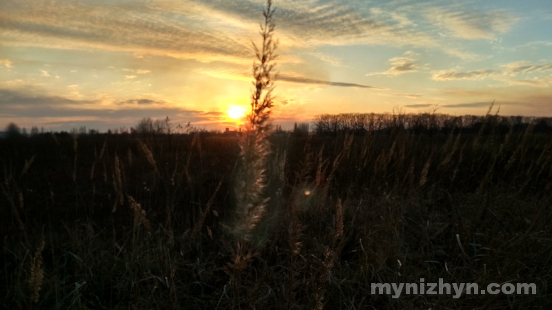 весна, фото, погода, сонце, настрій