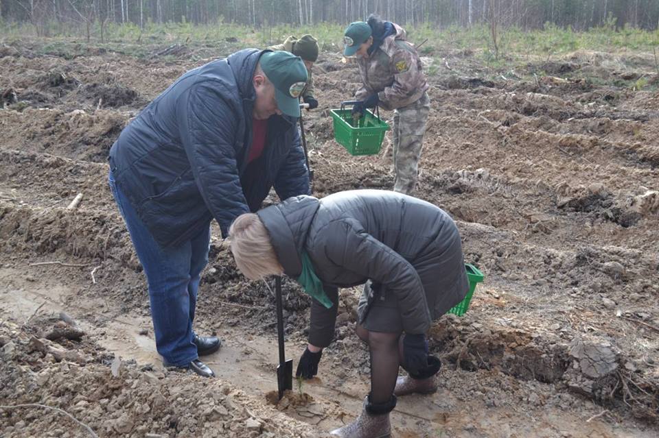 Міжнародний день лісу, Ніжинське лісове господарство