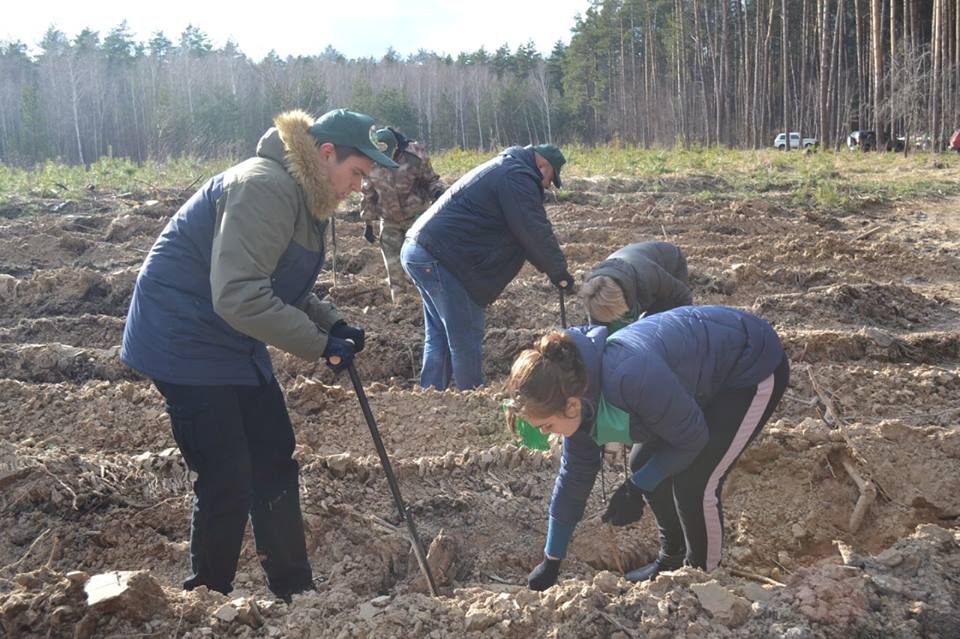 Міжнародний день лісу, Ніжинське лісове господарство