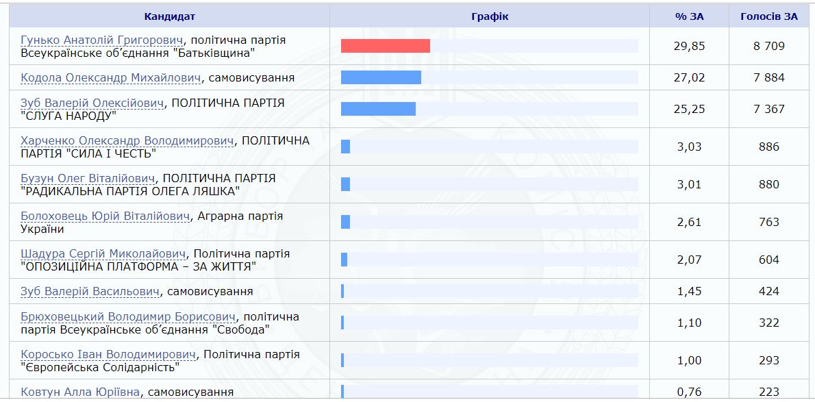 вибори, ЦВК, протоколи, результати