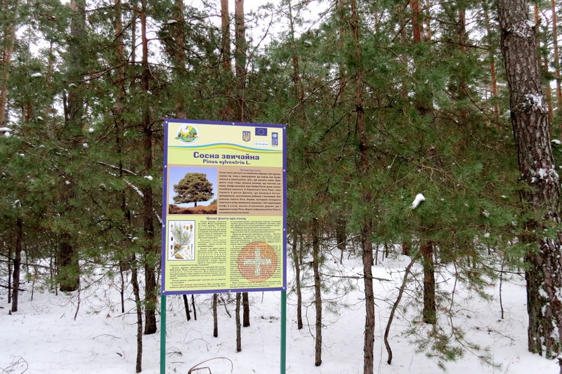 Регіональний ландшафтний парк «Ніжинський, спадщина предків