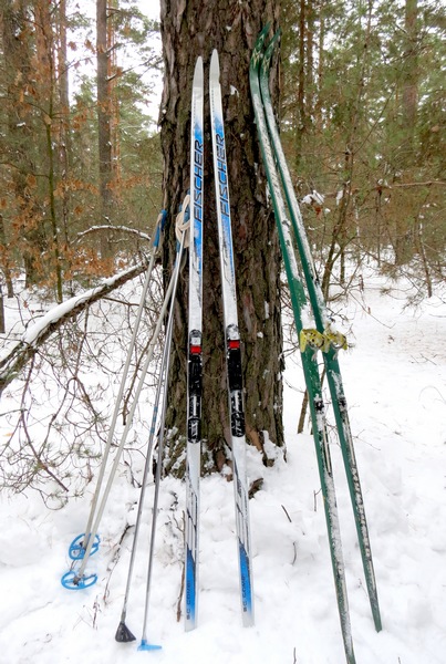 Регіональний ландшафтний парк «Ніжинський, спадщина предків