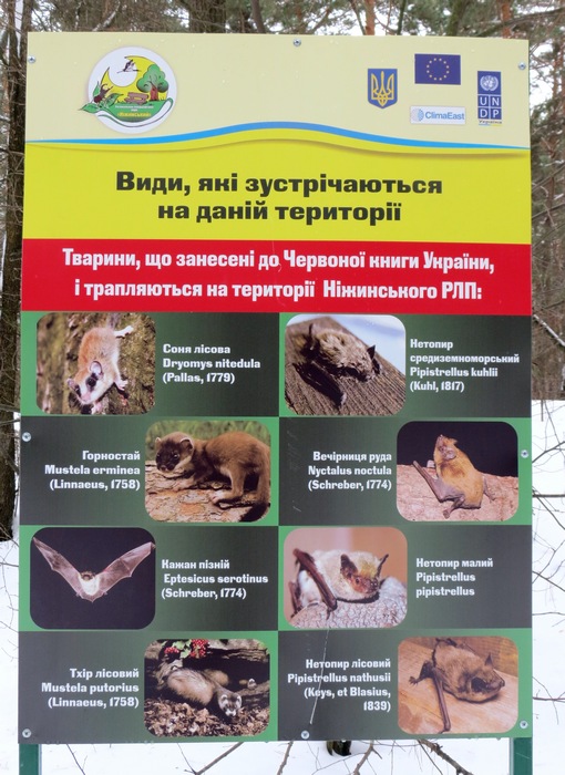 Регіональний ландшафтний парк «Ніжинський, спадщина предків