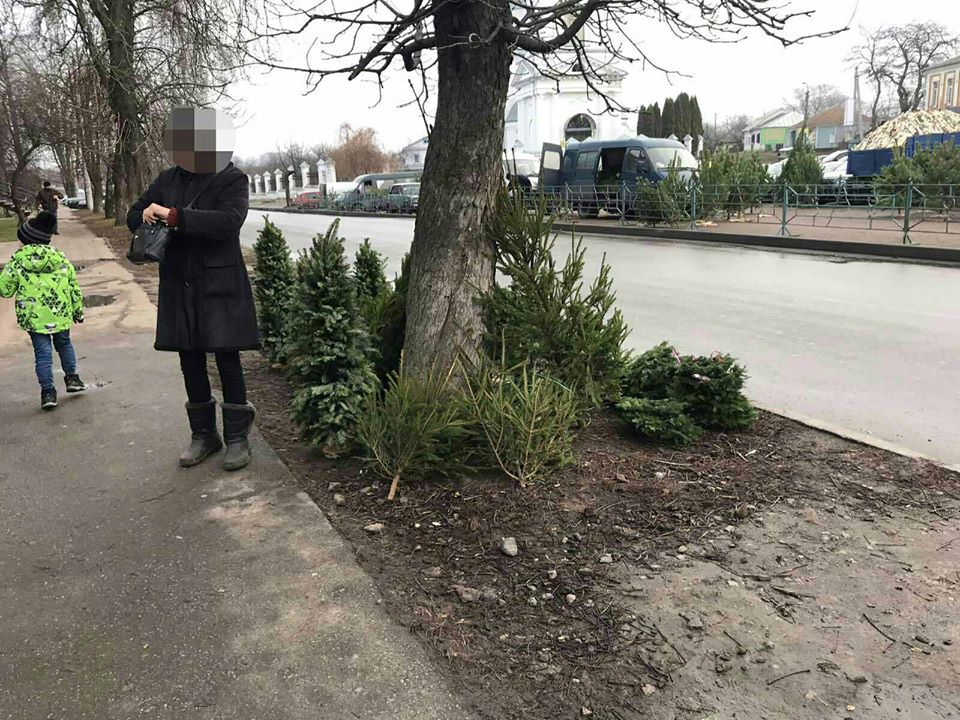 ялинки, торгівля, закон, поліція