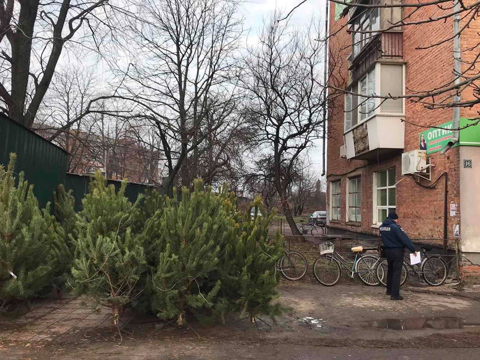 ялинки, торгівля, закон, поліція