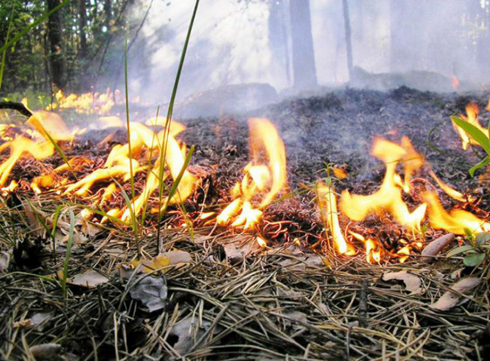 Пам'ятка для громадян щодо обережного поводження з вогнем на природі