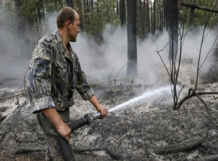 Пожежу у Дарницькому лісі під Києвом загасили - ДСНС