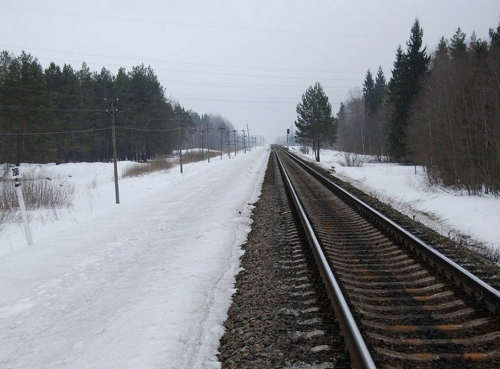 На Чернігівщині під пасажирським потягом загинув літній чоловік